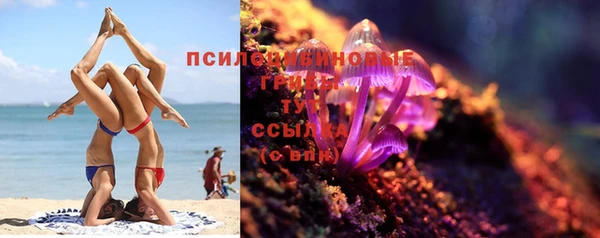 МДПВ Алзамай