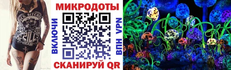 Псилоцибиновые грибы Cubensis МЕГА как зайти Приволжский наркота